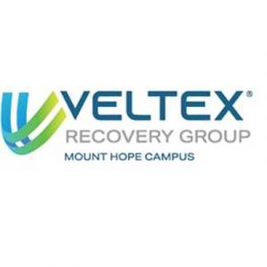 ff-Untitled-1 Veltex Recovery Group logo